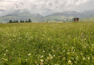 Wycieczka w Pieniny