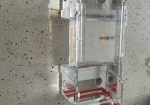Komora elektroforetyczna – urządzenie laboratoryjne używane do przeprowadzania elektroforezy żelowej, jednej z podstawowych technik w biologii molekularnej.