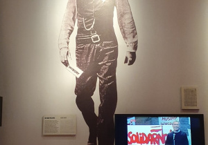 Zdjęcie 15 na 26