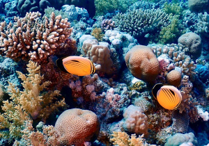 Bali 2025